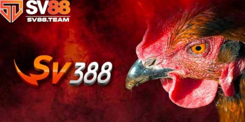 Người chơi rút tiền SV388 không thành công do nhà cái đang bảo trì